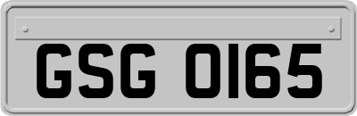 GSG0165