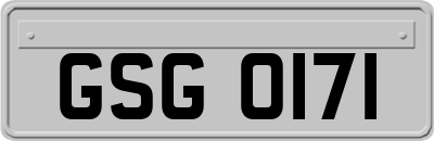 GSG0171