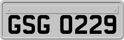 GSG0229