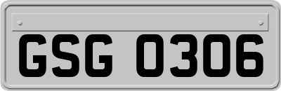 GSG0306