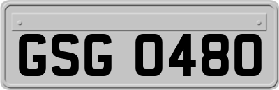 GSG0480