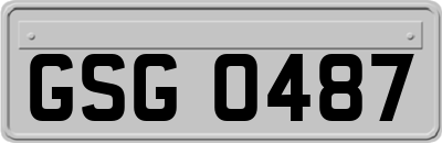 GSG0487