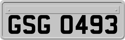 GSG0493