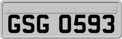 GSG0593