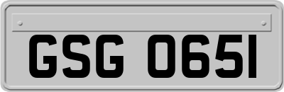 GSG0651
