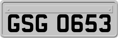 GSG0653