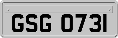 GSG0731