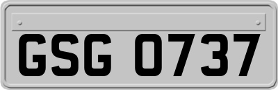 GSG0737