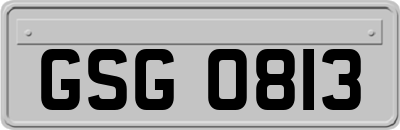 GSG0813