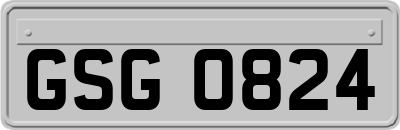 GSG0824