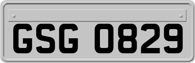 GSG0829