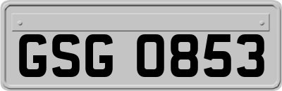 GSG0853