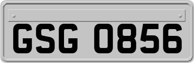 GSG0856