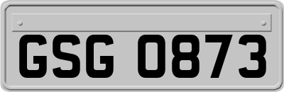 GSG0873