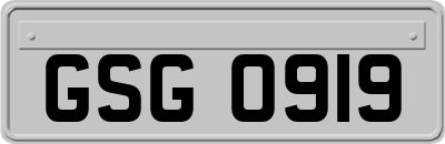 GSG0919