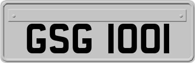 GSG1001