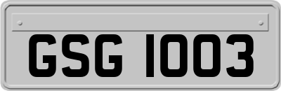 GSG1003