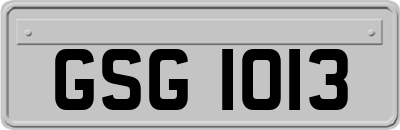 GSG1013