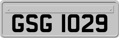 GSG1029