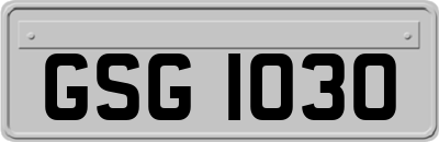 GSG1030