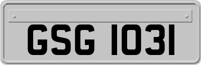 GSG1031