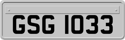 GSG1033