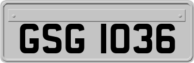 GSG1036