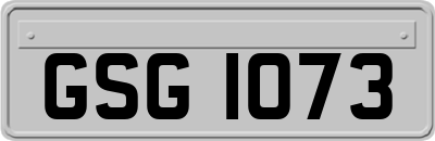 GSG1073