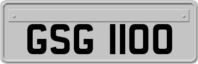 GSG1100