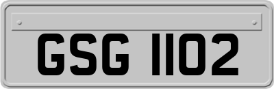 GSG1102