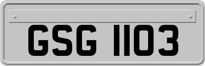 GSG1103