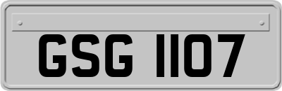 GSG1107