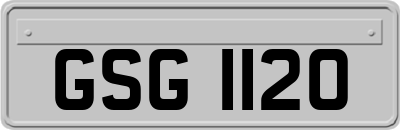 GSG1120
