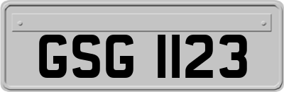 GSG1123