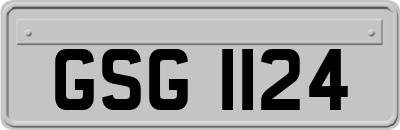 GSG1124