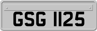 GSG1125