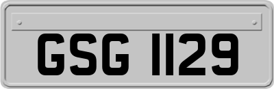 GSG1129
