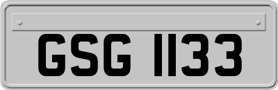 GSG1133