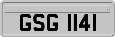 GSG1141