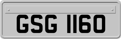 GSG1160