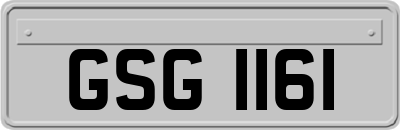 GSG1161