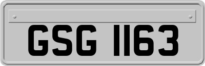 GSG1163