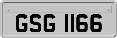 GSG1166