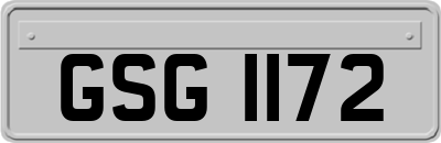 GSG1172
