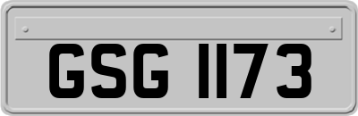 GSG1173