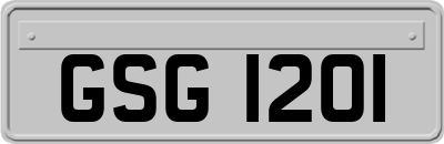 GSG1201