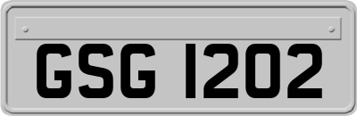 GSG1202