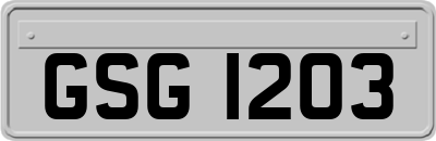 GSG1203
