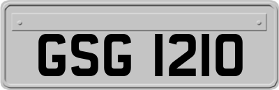 GSG1210