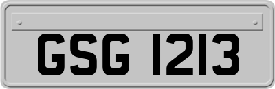 GSG1213